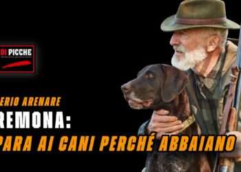 Cremona: spara ai cani perché abbaiano