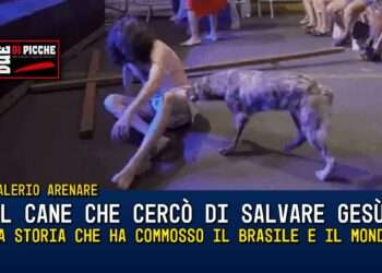 Il cane che cercò di salvare Gesù: la storia che ha commosso il Brasile e il mondo