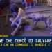 Il cane che cercò di salvare Gesù: la storia che ha commosso il Brasile e il mondo
