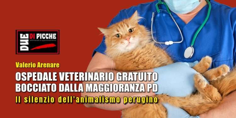 Ospedale veterinario gratuito bocciato dalla maggioranza PD, il silenzio dell'animalismo perugino