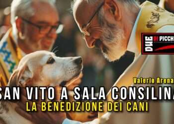 San Vito a Sala Consilina: la benedizione dei cani