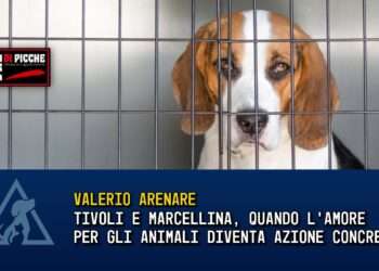 Tivoli e Marcellina
