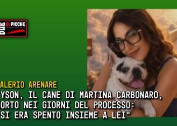 Tyson, il cane di Martina Carbonaro