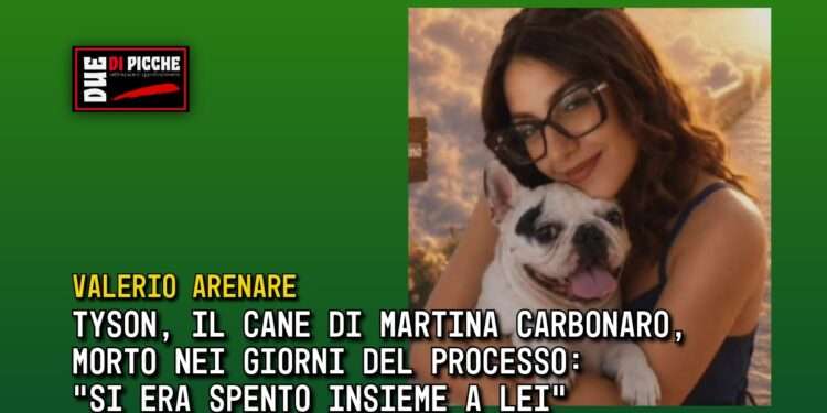 Tyson, il cane di Martina Carbonaro