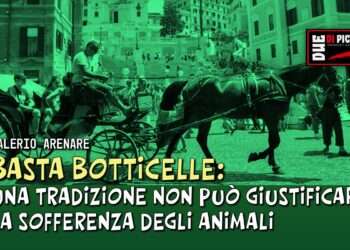 Basta botticelle: una tradizione non può giustificare la sofferenza degli animali