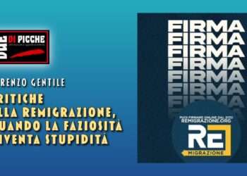Critiche alla Remigrazione, quando la faziosità diventa stupidità