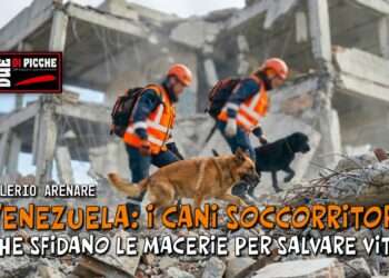 Non indossano un'uniforme, non chiedono riconoscimenti e non conoscono confini. Hanno quattro zampe, un olfatto straordinario e un addestramento che può fare la differenza tra la vita e la morte