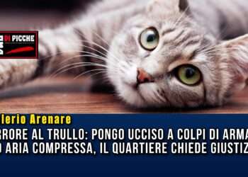 orrore al trullo