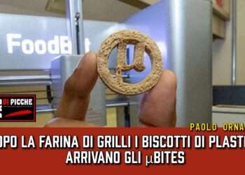 Dopo la farina di grilli i biscotti di plastica. Arrivano gli μBites