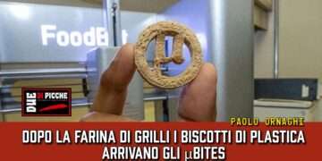 Dopo la farina di grilli i biscotti di plastica. Arrivano gli μBites