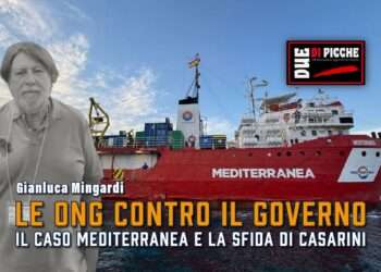 Le ONG contro il governo. il caso Mediterranea e la sfida di Casarini