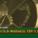 La rivolta di maranza, topi e gretini