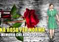 Una rosa per Norma: la memoria che non si spegne